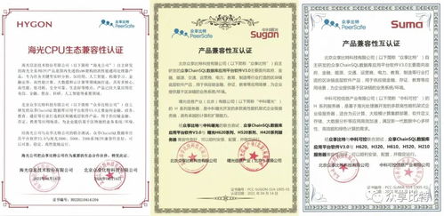 ChainSQL完成與海光、中科曙光、中科可控產(chǎn)品兼容性認(rèn)證 開(kāi)啟國(guó)產(chǎn)化數(shù)據(jù)庫(kù)新篇章